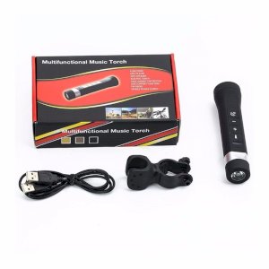 Music Torch-